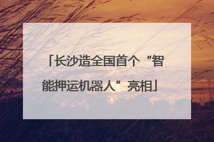 长沙造全国首个“智能押运机器人”亮相