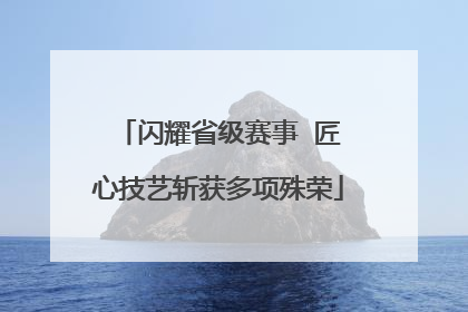 闪耀省级赛事  匠心技艺斩获多项殊荣