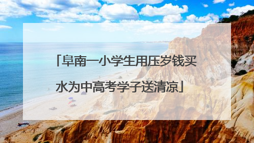 阜南一小学生用压岁钱买水为中高考学子送清凉