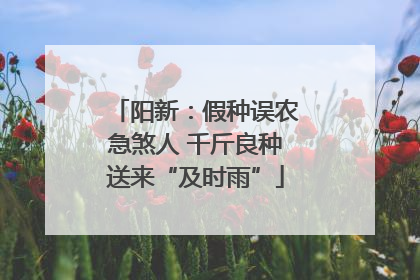 阳新：假种误农急煞人 千斤良种送来“及时雨”