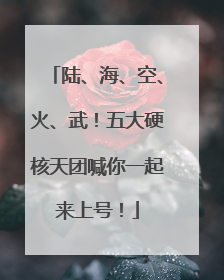 陆、海、空、火、武！五大硬核天团喊你一起来上号！