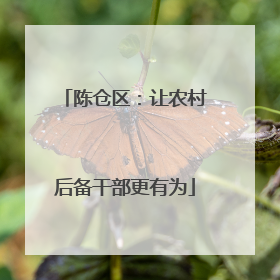 陈仓区：让农村后备干部更有为