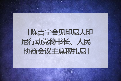 陈吉宁会见印尼大印尼行动党秘书长、人民协商会议主席穆扎尼
