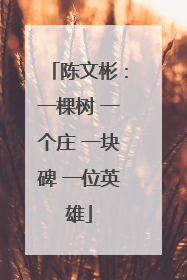 陈文彬：一棵树 一个庄 一块碑 一位英雄