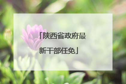 陕西省政府最新干部任免