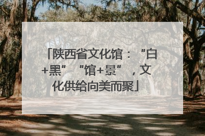 陕西省文化馆：“白+黑”“馆+景”，文化供给向美而聚