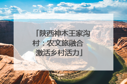 陕西神木王家沟村：农文旅融合 激活乡村活力