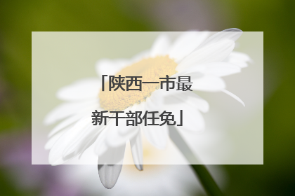 陕西一市最新干部任免