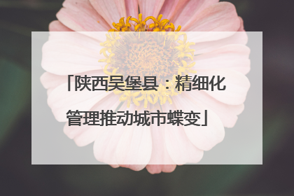 陕西吴堡县：精细化管理推动城市蝶变