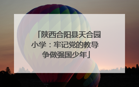 陕西合阳县天合园小学：牢记党的教导 争做强国少年