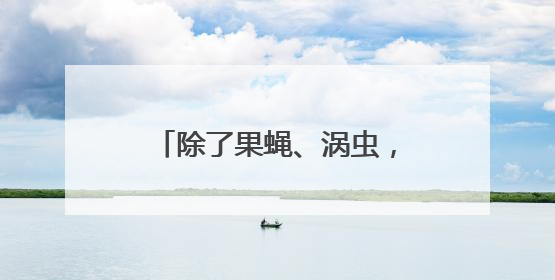 除了果蝇、涡虫，中国空间站还有哪些“动物航天员”