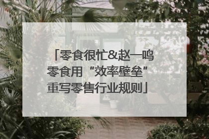 零食很忙&赵一鸣零食用“效率壁垒”重写零售行业规则