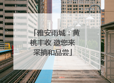 雅安雨城：黄桃丰收 邀您来采摘和品尝