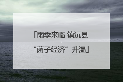 雨季来临 镇沅县“菌子经济”升温