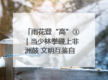 雨花登“高”③｜当少林拳碰上非洲鼓 文明互鉴自有动人韵律