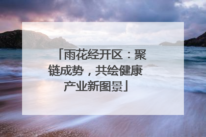 雨花经开区：聚链成势，共绘健康产业新图景