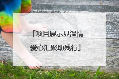 项目展示显温情 爱心汇聚助残行