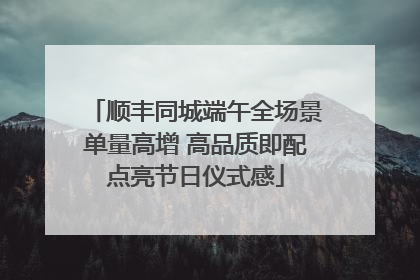 顺丰同城端午全场景单量高增 高品质即配点亮节日仪式感
