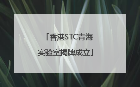 香港STC青海实验室揭牌成立