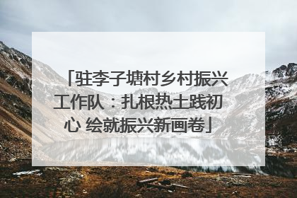 驻李子塘村乡村振兴工作队：扎根热土践初心 绘就振兴新画卷
