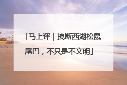 马上评｜拽断西湖松鼠尾巴，不只是不文明