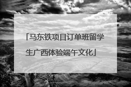 马东铁项目订单班留学生广西体验端午文化