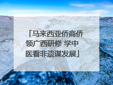 马来西亚侨商侨领广西研修 学中医看非遗谋发展