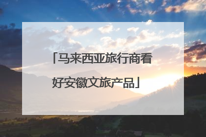 马来西亚旅行商看好安徽文旅产品
