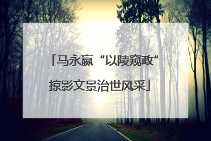 马永嬴“以陵窥政” 掠影文景治世风采