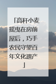 高秆小麦摇曳在房前屋后，巧手农民守望百年文化遗产