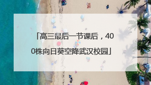 高三最后一节课后，400株向日葵空降武汉校园