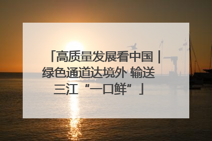 高质量发展看中国｜绿色通道达境外 输送三江“一口鲜”