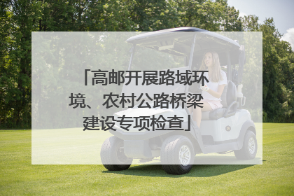 高邮开展路域环境、农村公路桥梁建设专项检查