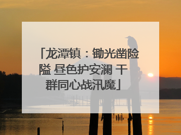 龙潭镇：锄光凿险隘 昼色护安澜 干群同心战汛魔
