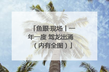 鱼眼·现场丨一年一度 驾龙出涌（内有全图）
