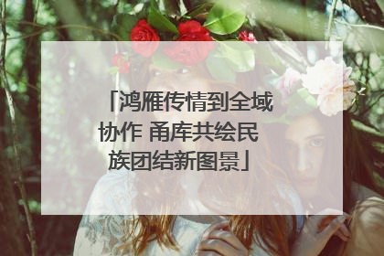 鸿雁传情到全域协作 甬库共绘民族团结新图景