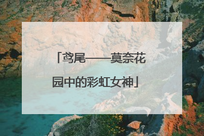 鸢尾——莫奈花园中的彩虹女神