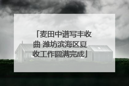 麦田中谱写丰收曲 潍坊滨海区夏收工作圆满完成