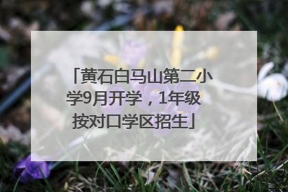 黄石白马山第二小学9月开学，1年级按对口学区招生