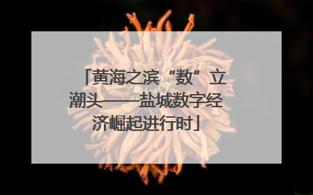 黄海之滨“数”立潮头——盐城数字经济崛起进行时