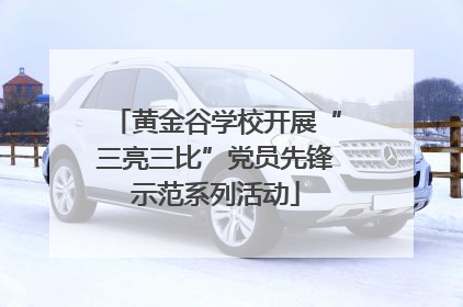 黄金谷学校开展“三亮三比”党员先锋示范系列活动