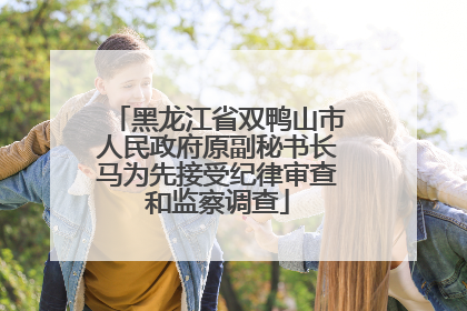 黑龙江省双鸭山市人民政府原副秘书长马为先接受纪律审查和监察调查