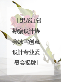 黑龙江省勘察设计协会冰雪创意设计专业委员会揭牌