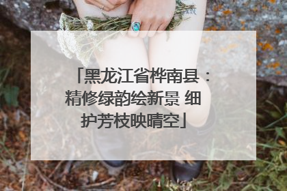 黑龙江省桦南县：精修绿韵绘新景 细护芳枝映晴空