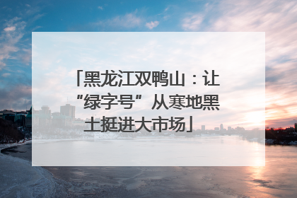 黑龙江双鸭山：让“绿字号”从寒地黑土挺进大市场