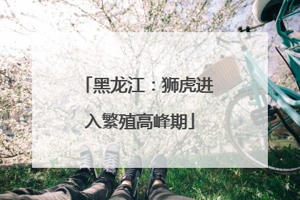 黑龙江：狮虎进入繁殖高峰期