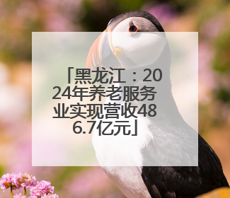 黑龙江：2024年养老服务业实现营收486.7亿元