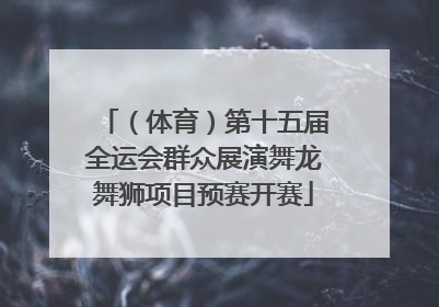 （体育）第十五届全运会群众展演舞龙舞狮项目预赛开赛