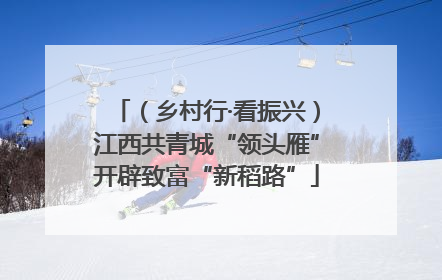 （乡村行·看振兴）江西共青城“领头雁”开辟致富“新稻路”