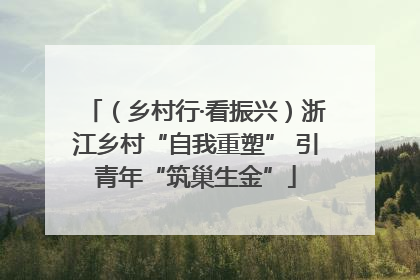 （乡村行·看振兴）浙江乡村“自我重塑” 引青年“筑巢生金”